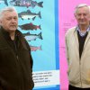 Фестиваль 2013