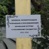 Фестиваль 2013
