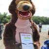 Фестиваль 2013