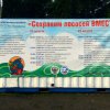 Фестиваль 2013