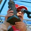 Фестиваль 2013