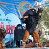 Фестиваль 2014