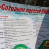 Фестиваль 2014