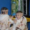 Фестиваль 2015